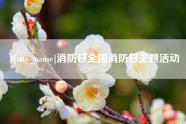 宝应县消防日全国消防日主题活动