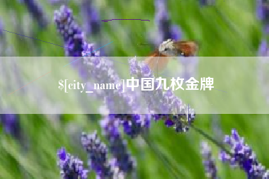宝应县中国九枚金牌