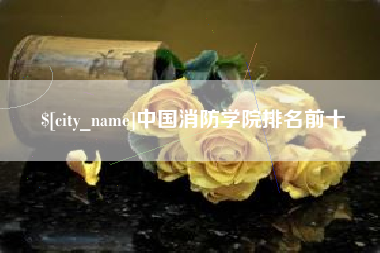宝应县中国消防学院排名前十