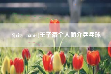 宝应县王子豪个人简介乒乓球
