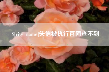 宝应县失信被执行官网查不到