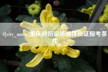 宝应县重庆消防设施操作员证报考条件