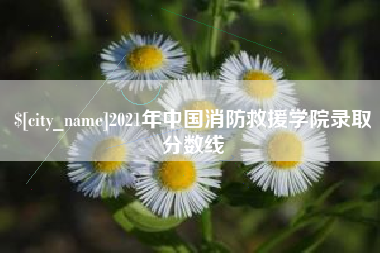 宝应县2021年中国消防救援学院录取分数线