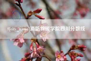 宝应县消防救援学院四川分数线