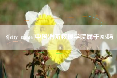 宝应县中国消防救援学院属于985吗