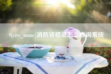 宝应县消防资格证怎么查询系统