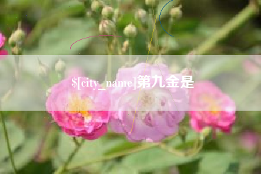 宝应县第九金是