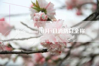 宝应县11月9日消防日全称
