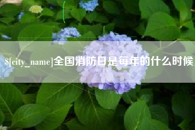 宝应县全国消防日是每年的什么时候