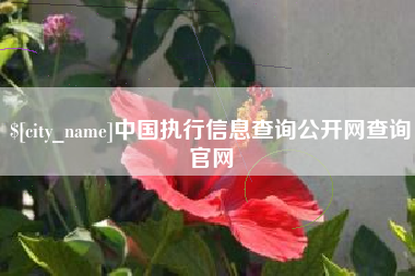 宝应县中国执行信息查询公开网查询官网