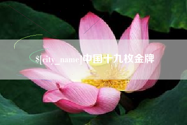 宝应县中国十九枚金牌