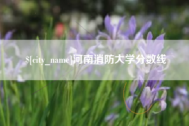 宝应县河南消防大学分数线