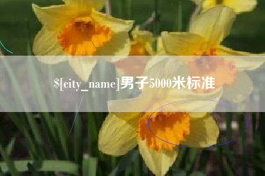 宝应县男子5000米标准