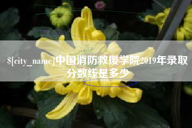 宝应县中国消防救援学院2019年录取分数线是多少