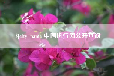宝应县中国执行网公开查询