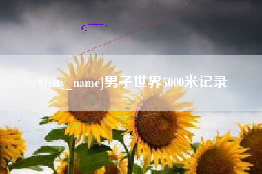 宝应县男子世界5000米记录