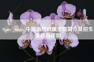 宝应县中国消防救援学院简介及招生章程指挥部