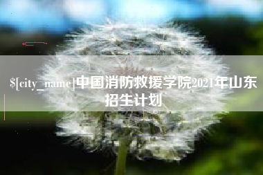 宝应县中国消防救援学院2021年山东招生计划
