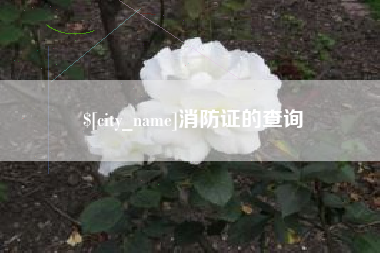 宝应县消防证的查询