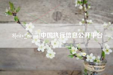 宝应县中国执行信息公开平台