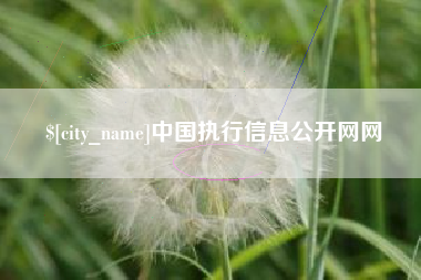 宝应县中国执行信息公开网网