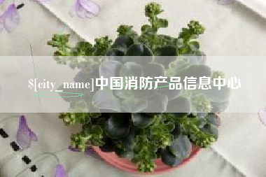 宝应县中国消防产品信息中心