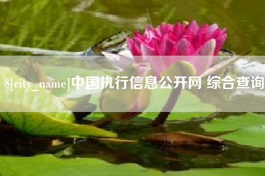 宝应县中国执行信息公开网 综合查询