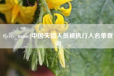 宝应县中国失信人员被执行人名单查询