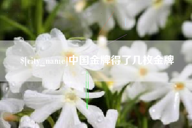 宝应县中国金牌得了几枚金牌