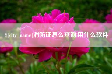 宝应县消防证怎么查询,用什么软件