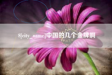 宝应县中国的几个金牌啊
