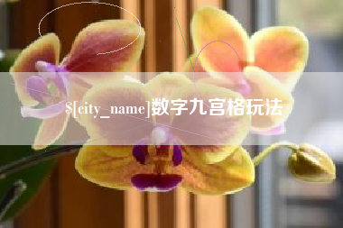 宝应县数字九宫格玩法