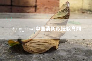 宝应县中国消防救援教育网