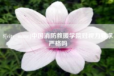 宝应县中国消防救援学院对视力要求严格吗