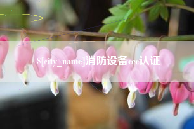 宝应县消防设备ccc认证