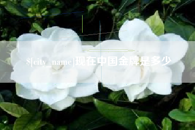 宝应县现在中国金牌是多少
