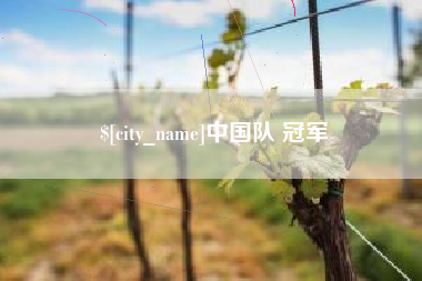宝应县中国队 冠军