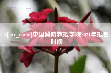宝应县中国消防救援学院2021年报名时间