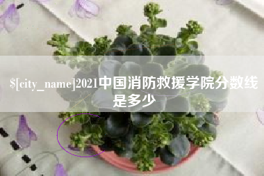 宝应县2021中国消防救援学院分数线是多少