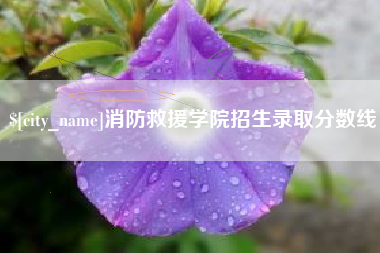 宝应县消防救援学院招生录取分数线