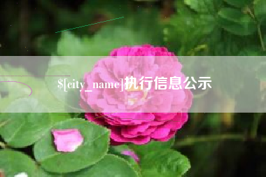 宝应县执行信息公示