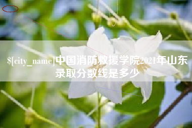 宝应县中国消防救援学院2021年山东录取分数线是多少