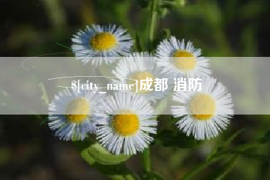 宝应县成都 消防