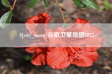 宝应县谷歌卫星地图2025