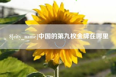 宝应县中国的第九枚金牌在哪里