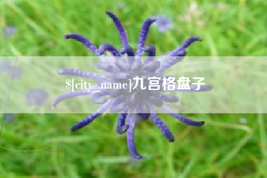 宝应县九宫格盘子