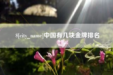宝应县中国有几块金牌排名