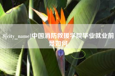 宝应县中国消防救援学院毕业就业前景如何