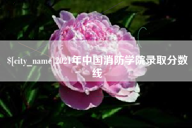 宝应县2021年中国消防学院录取分数线