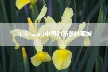 宝应县中国消防器材商城